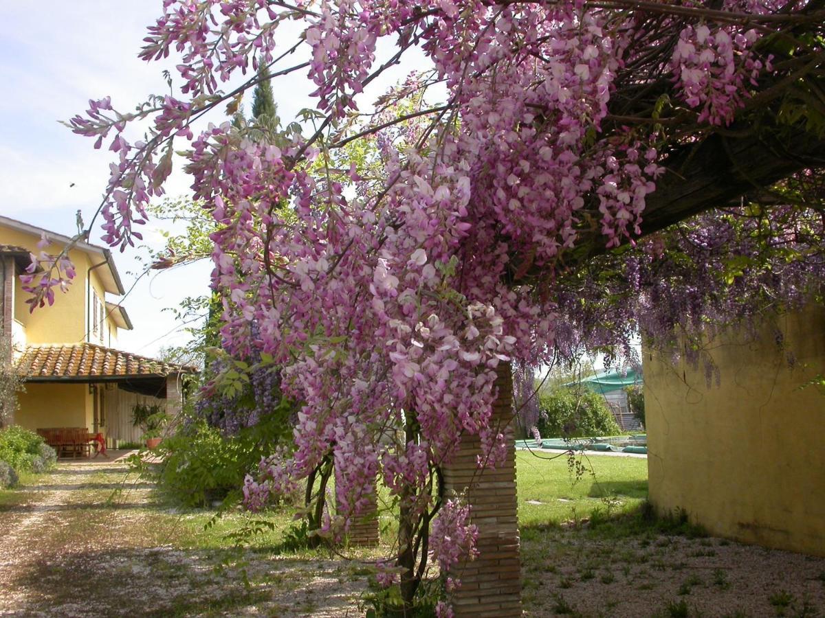 Casavacanze Sant'Eugenia Attigliano Exterior foto